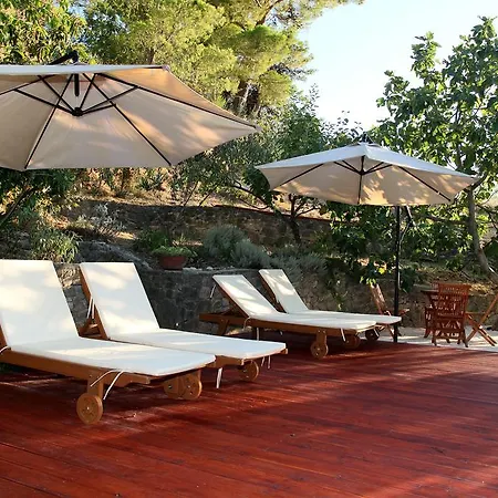 Poolside Oasis Villa *